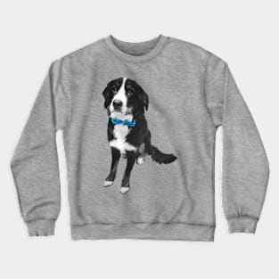 Sarge Crewneck Sweatshirt